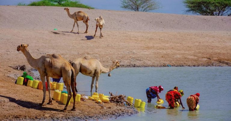ከድርቅ መላቀቅ ያልቻለችው ዓለማችን