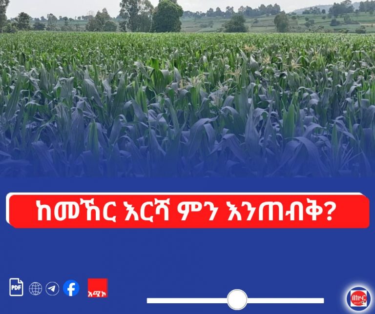 ከመኸር እርሻ ምን እንጠብቅ?