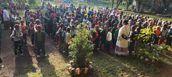 11-1-2019 ፈፈፈፈፈፈ