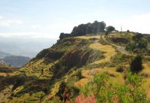 የአጼ ምኒልክ የጦር መሣሪያ ግምጃ ቤት- ኮራማሽ