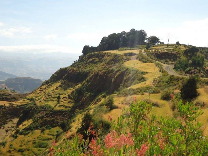 574028831_803848765793748_5494398216687335434_n